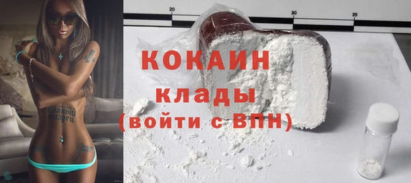 дживик Аркадак