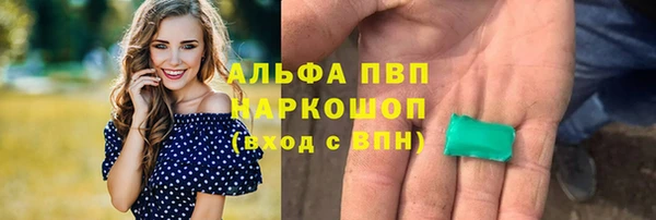тгк Пестово