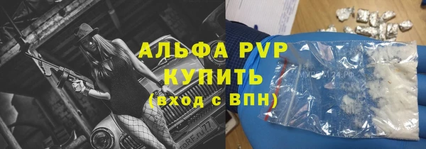 a pvp Пересвет